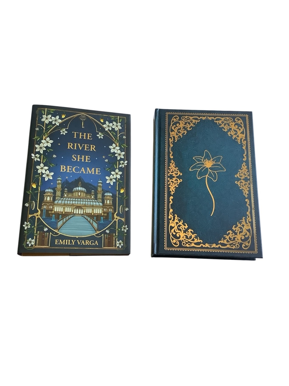 Signed The River She Became by Emily Varga Owlcrate Special Edition